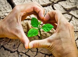 Imagem do post Sustentabilidade – O bem para todos